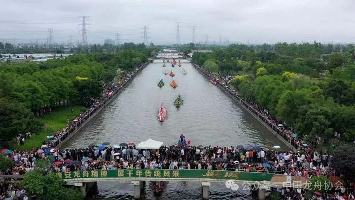 群桨起舞逐浪水乡城 温州让千年龙舟划出新气象