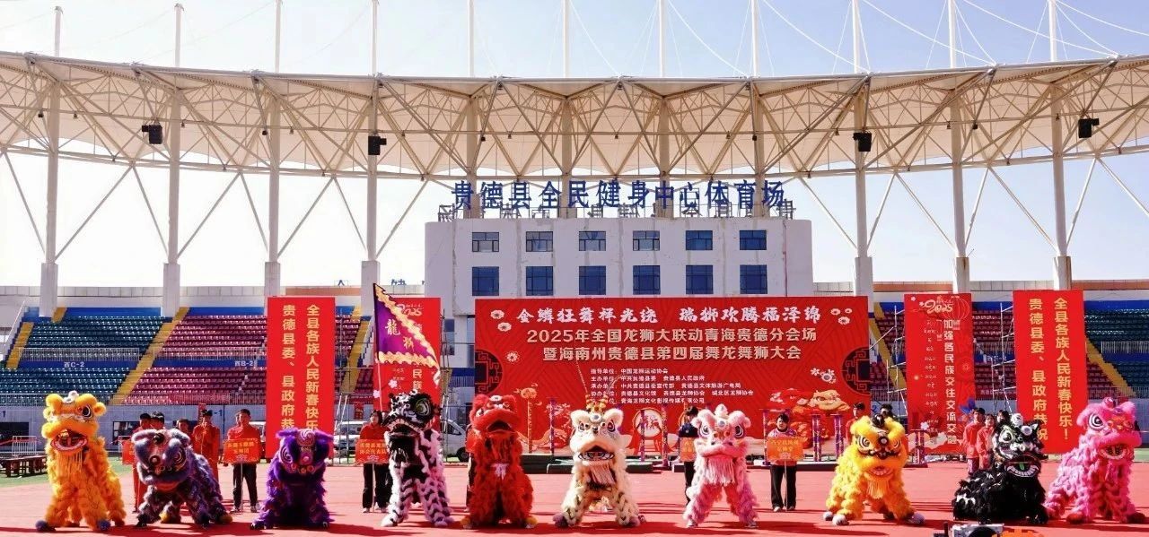 “龙腾狮跃”贺新春·2025年全国龙狮大联动（青海贵德）分会场顺利举办