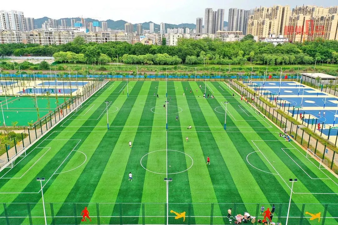广西体育局:让群众在共建共治共享中有更多获得感