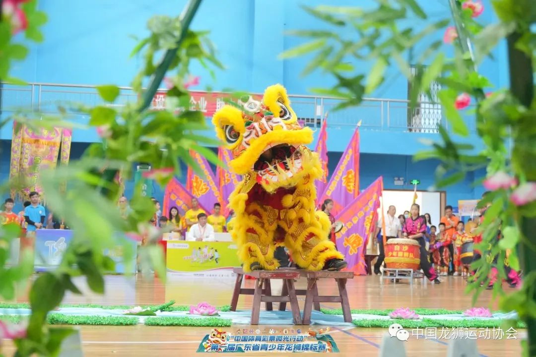 第一届广东省青少年龙狮锦标赛在佛山顺德顺利举办